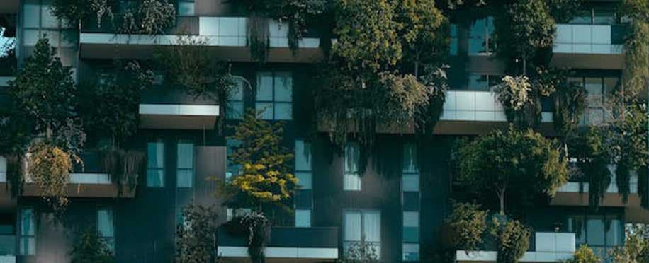 How Sustainable Construction Can Preserve a Green Environment