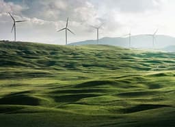 President Biden calls for strong action on climate issues and renewable energies