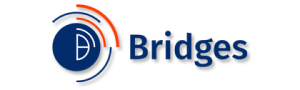 Bridges Worldwide (UK)