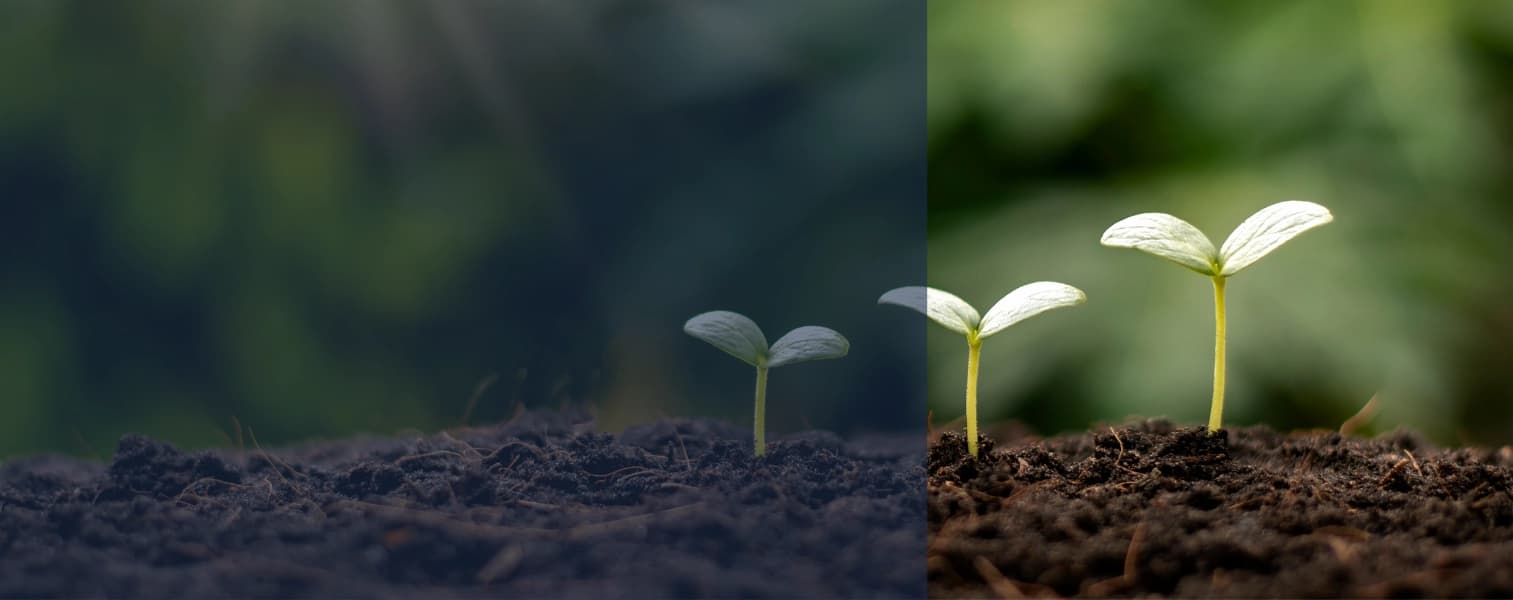 Environmental Management & Agriculture Courses (Classroom)