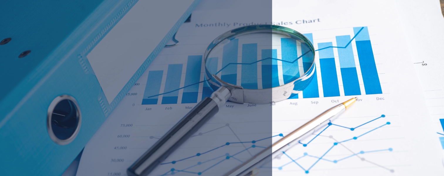 Data Science and Visualisation (Online)