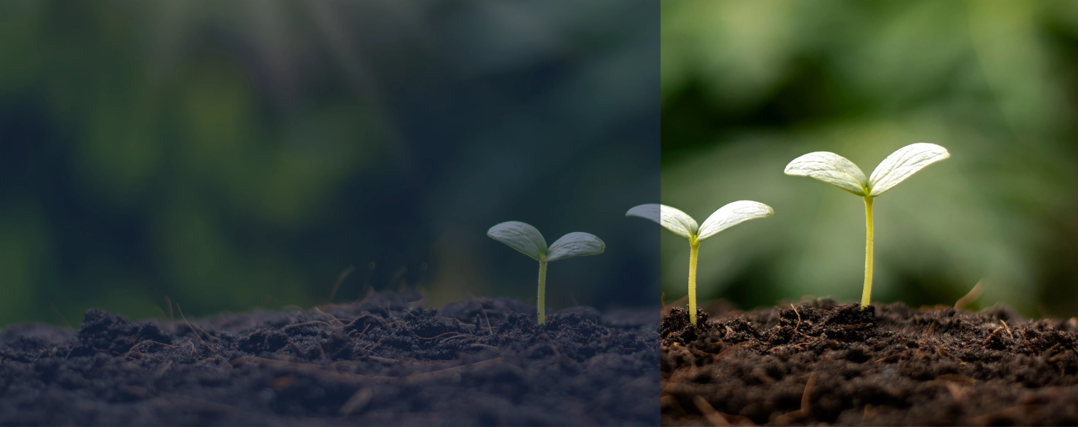 Environmental Management & Agriculture Courses (Online)