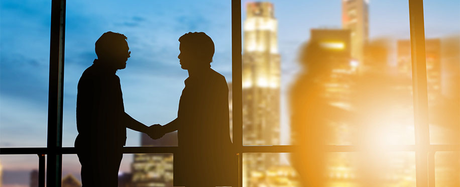 Strategic Partnerships for Business Growth: Finding the Right Fit