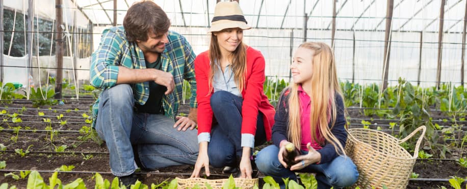 Essential Skills You Can Gain from Agriculture Horticulture Courses