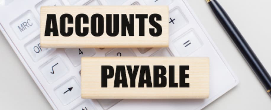 Accounting Professional