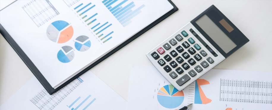 Accounting Professional