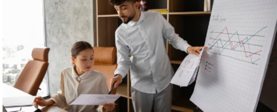 Accounting Professional