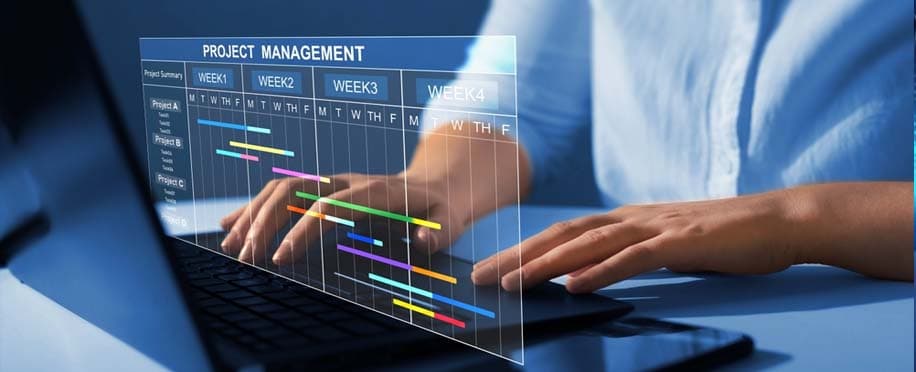 Accounting Professional