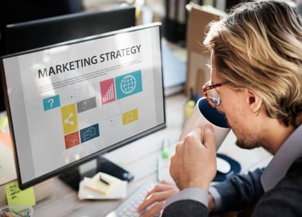 Overview of Sales and Marketing Responsibilities