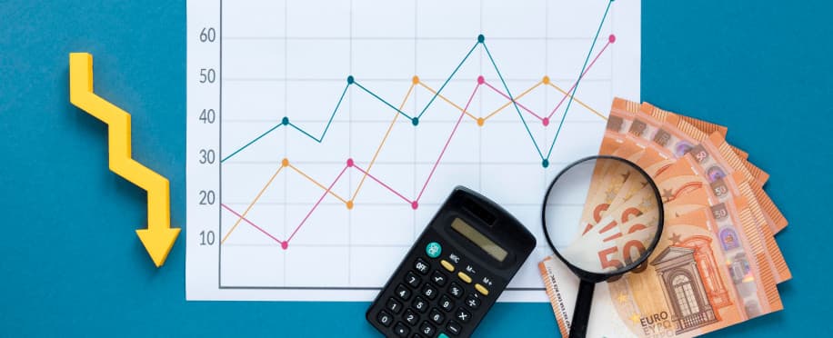Accounting Professional