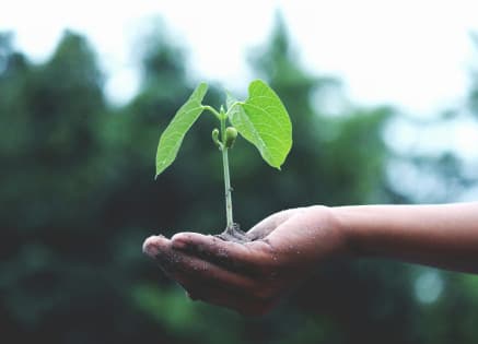 What Are the Most Popular Agriculture Short Courses Available Today?