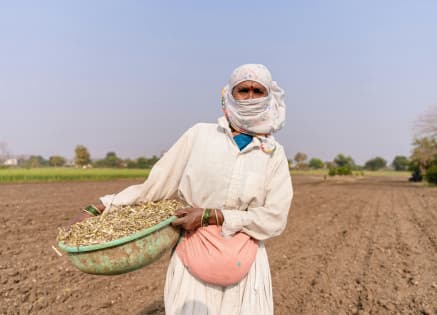 Top Farming Courses for Sustainable Agriculture Practices