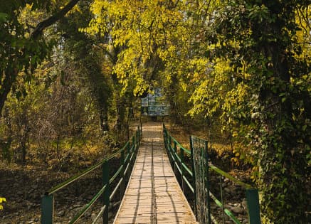 Why Your Business Needs an Environmental Investigator for Sustainable Operations