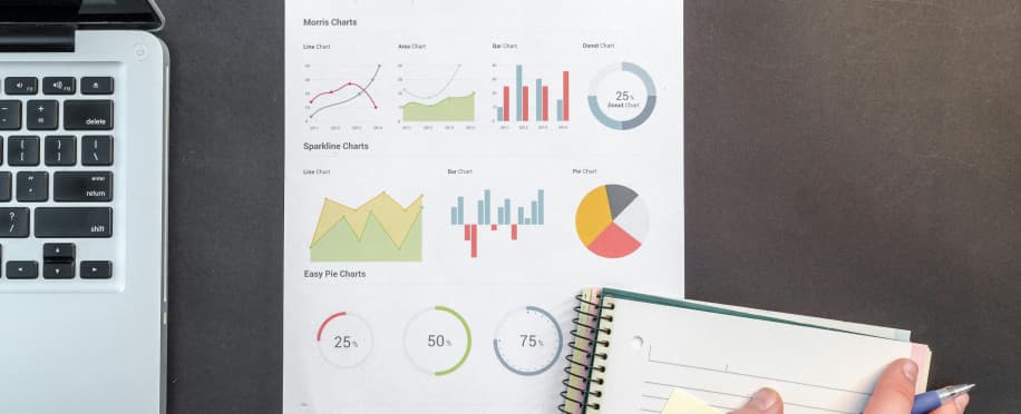 Accounting Professional