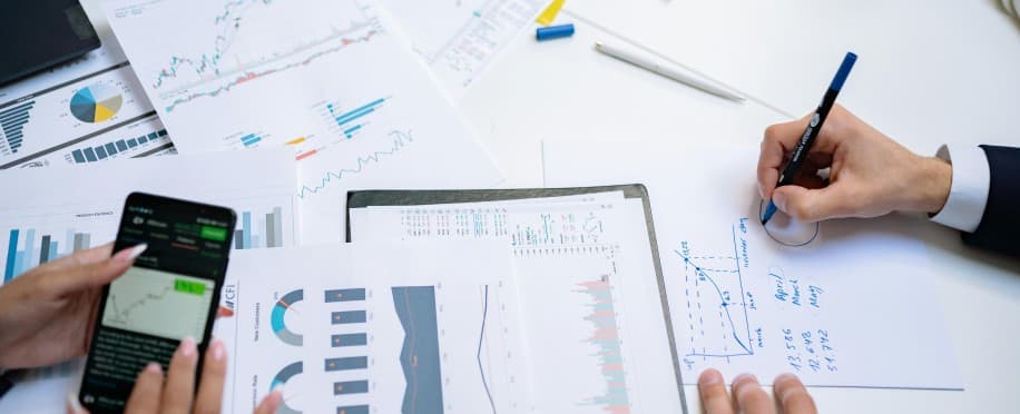 Accounting Professional