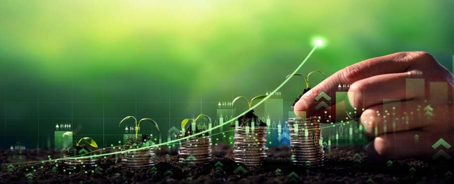 Financial Sustainability in Universities: Unlocking Opportunities and Overcoming Obstacles