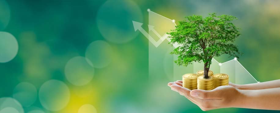 The Ethics of Financial Management: Making Moral Financial Decisions