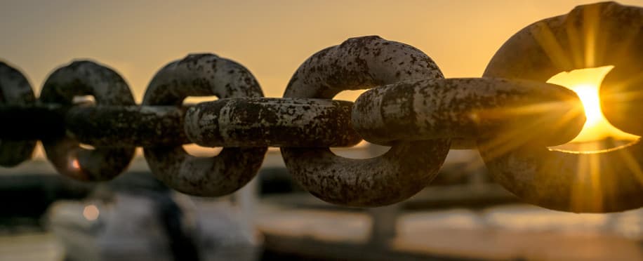 How Supply Chain Management Courses Can Propel Your Professional Growth