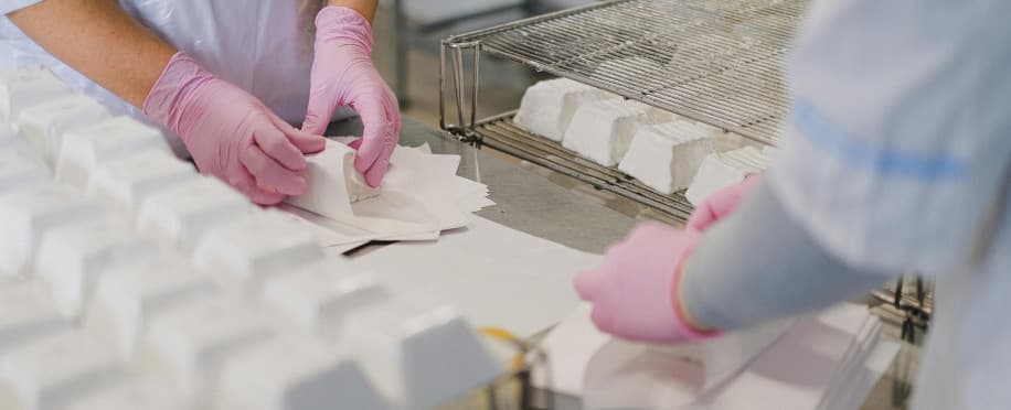 World Quality Day: Is Your Career Up to the Mark of Quality?