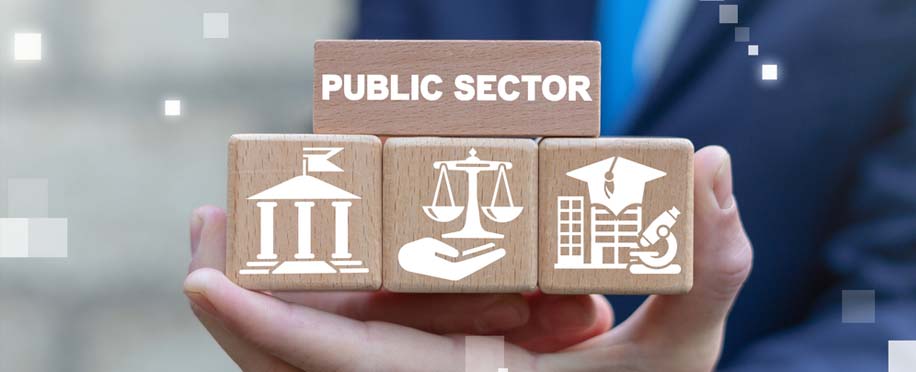 Public Sector Innovation